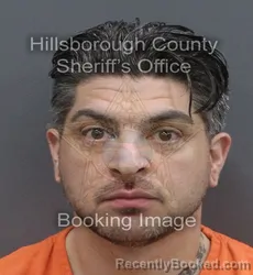 Mugshot of DAVID GEORGE II WHITE booked in Hillsborough County, Florida on June 14, 2026