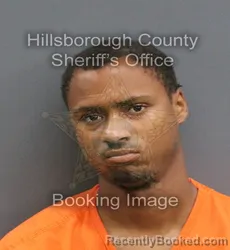 Mugshot of EZEKIEL EMANUEL WILLIAM CRECY-PRICE booked in Hillsborough County, Florida on June 14, 2026
