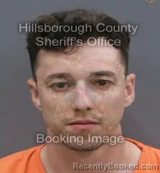 Mugshot of RYAN JEFFREY JANUARY booked in Hillsborough County, Florida on June 14, 2026