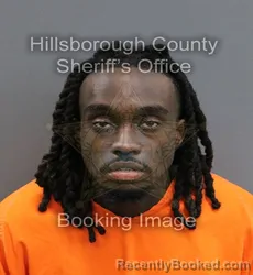 Mugshot of COREY ALBERT FIDDLER booked in Hillsborough County, Florida on June 14, 2026