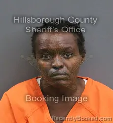 Mugshot of JOHANNE CLAUDELLE JULIEN booked in Hillsborough County, Florida on June 14, 2026