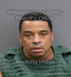 Mugshot of MARIO JOSEPH ELLIOT booked in Hillsborough County, Florida on June 14, 2026