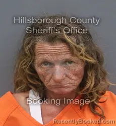 Mugshot of KELLY BEVERLY MCCUE booked in Hillsborough County, Florida on June 14, 2026