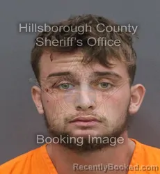 Mugshot of JACK GANNON FERNANDEZ booked in Hillsborough County, Florida on June 14, 2026