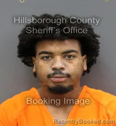 Mugshot of BRYCE ALISTAIR RUDOLPH HOWE