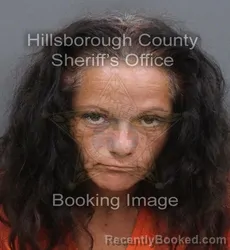 Mugshot of SOPHIA ROSE VERA booked in Hillsborough County, Florida on June 14, 2026