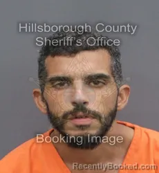 Mugshot of PABLO DURAN booked in Hillsborough County, Florida on June 14, 2026