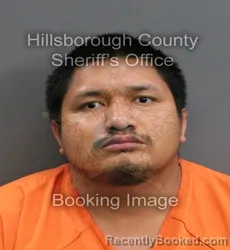 Mugshot of NETELY HUANTE booked in Hillsborough County, Florida on June 14, 2026