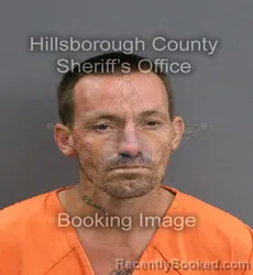 Mugshot of MICHAEL JAMES OLDHAM booked in Hillsborough County, Florida on June 14, 2026