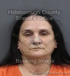 Mugshot of MARTA CARRASCO booked in Hillsborough County, Florida on June 14, 2026
