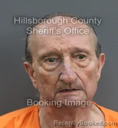 Mugshot of BRANISLAV BRIAN STANCIC booked in Hillsborough County, Florida on June 14, 2026