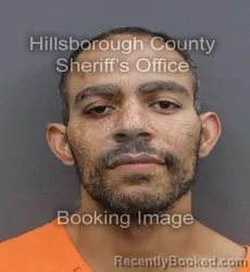 Mugshot of JAMES DAVIS booked in Hillsborough County, Florida on June 14, 2026