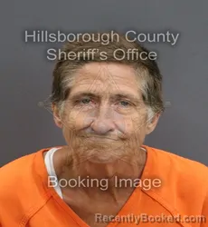 Mugshot of KAREN ANNE SCHUMACHER booked in Hillsborough County, Florida on June 14, 2026
