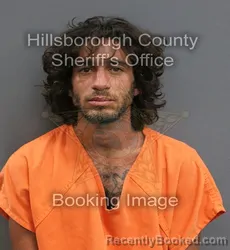 Mugshot of TERRY NORTON booked in Hillsborough County, Florida on June 14, 2026