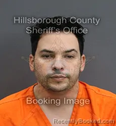 Mugshot of SALVADOR PUIG CASTELLON booked in Hillsborough County, Florida on June 14, 2026