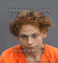 Mugshot of SARAH NCOLE CLEE booked in Hillsborough County, Florida on June 14, 2026