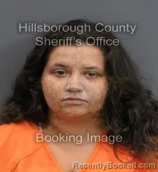 Mugshot of TIFFANY LYNN LARKIN booked in Hillsborough County, Florida on June 14, 2026