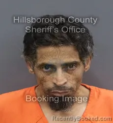 Mugshot of JAIME LOPERENA RIVERA booked in Hillsborough County, Florida on June 14, 2026