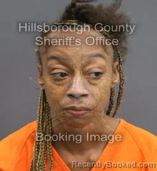 Mugshot of CINTHIA ANN GOLDRING booked in Hillsborough County, Florida on June 14, 2026