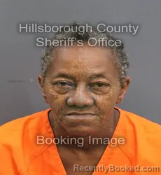Mugshot of TEESSIE TERESA BELIN booked in Hillsborough County, Florida on June 14, 2026