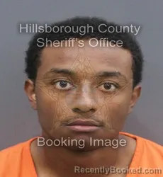 Mugshot of LINCOLN LEE BROWN booked in Hillsborough County, Florida on June 14, 2026