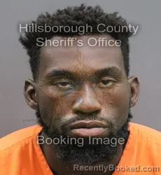 Mugshot of ERIK DAVID FENELON booked in Hillsborough County, Florida on June 14, 2026