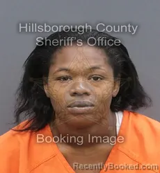 Mugshot of DEEASHA LASHAY BROWN booked in Hillsborough County, Florida on June 14, 2026