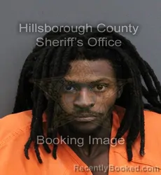 Mugshot of TYSIEN DEMONTAE TRAMAU BALDWIN booked in Hillsborough County, Florida on June 14, 2026