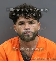 Mugshot of BLAKE LEE SILVESTRY booked in Hillsborough County, Florida on June 14, 2026