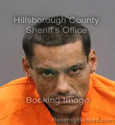 Mugshot of JOSEPH QUILES booked in Hillsborough County, Florida on June 15, 2026