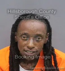 Mugshot of AMBRIA L POLE booked in Hillsborough County, Florida on June 15, 2026