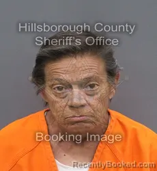 Mugshot of MARIE PADGETT ZAMBITO booked in Hillsborough County, Florida on June 15, 2026