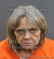 Mugshot of HEIDI BRIGITTE PALARDIS booked in Hillsborough County, Florida on June 15, 2026