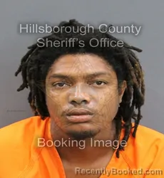 Mugshot of CLEMENTS LEE REDMOND booked in Hillsborough County, Florida on June 15, 2026