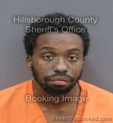 Mugshot of NOAH RICHARDSON booked in Hillsborough County, Florida on June 15, 2026