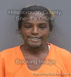 Mugshot of LASHIYA K BOSWELL booked in Hillsborough County, Florida on June 15, 2026