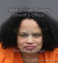 Mugshot of MARIA ESTHER MARQUEZ booked in Hillsborough County, Florida on June 15, 2026