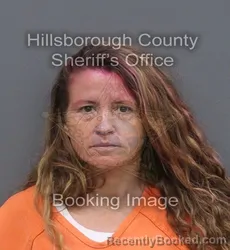 Mugshot of BRANDI NICOLE NICHOLS booked in Hillsborough County, Florida on June 15, 2026