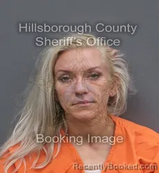 Mugshot of THERESA MARIE LEE booked in Hillsborough County, Florida on June 15, 2026