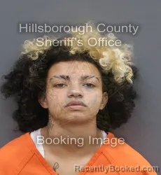 Mugshot of ALEXIZ LYNN ILLISCAVITCH booked in Hillsborough County, Florida on June 15, 2026