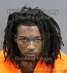 Mugshot of MEKHI MALCOLM BURNS booked in Hillsborough County, Florida on June 15, 2026