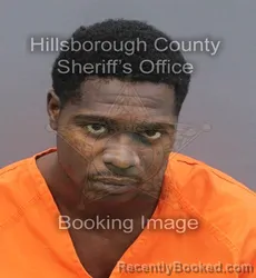 Mugshot of DE'GINO AMURU PARKS booked in Hillsborough County, Florida on June 15, 2026