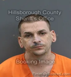 Mugshot of JASON LEN LUMLEY booked in Hillsborough County, Florida on June 15, 2026