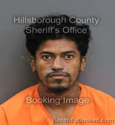 Mugshot of MARLON DANIEL HERNANDEZ ROMERO booked in Hillsborough County, Florida on June 15, 2026