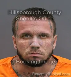 Mugshot of CHRISTOPHER LEE ROZNOWSKI booked in Hillsborough County, Florida on June 15, 2026