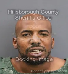 Mugshot of TYREE MIGUEL ROBINSON booked in Hillsborough County, Florida on June 15, 2026