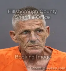 Mugshot of JAMES B HARRIS booked in Hillsborough County, Florida on June 15, 2026