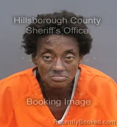 Mugshot of SHARA NICOLE NEWSOME booked in Hillsborough County, Florida on June 15, 2026