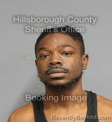 Mugshot of MICHAEL DERON COLLETON booked in Hillsborough County, Florida on June 15, 2026