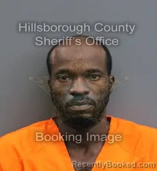 Mugshot of ALEX DANIS booked in Hillsborough County, Florida on June 15, 2026